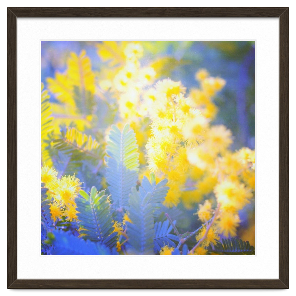 Yellow shiny flowers