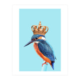 Kingfisher (Print Only) thumbnail