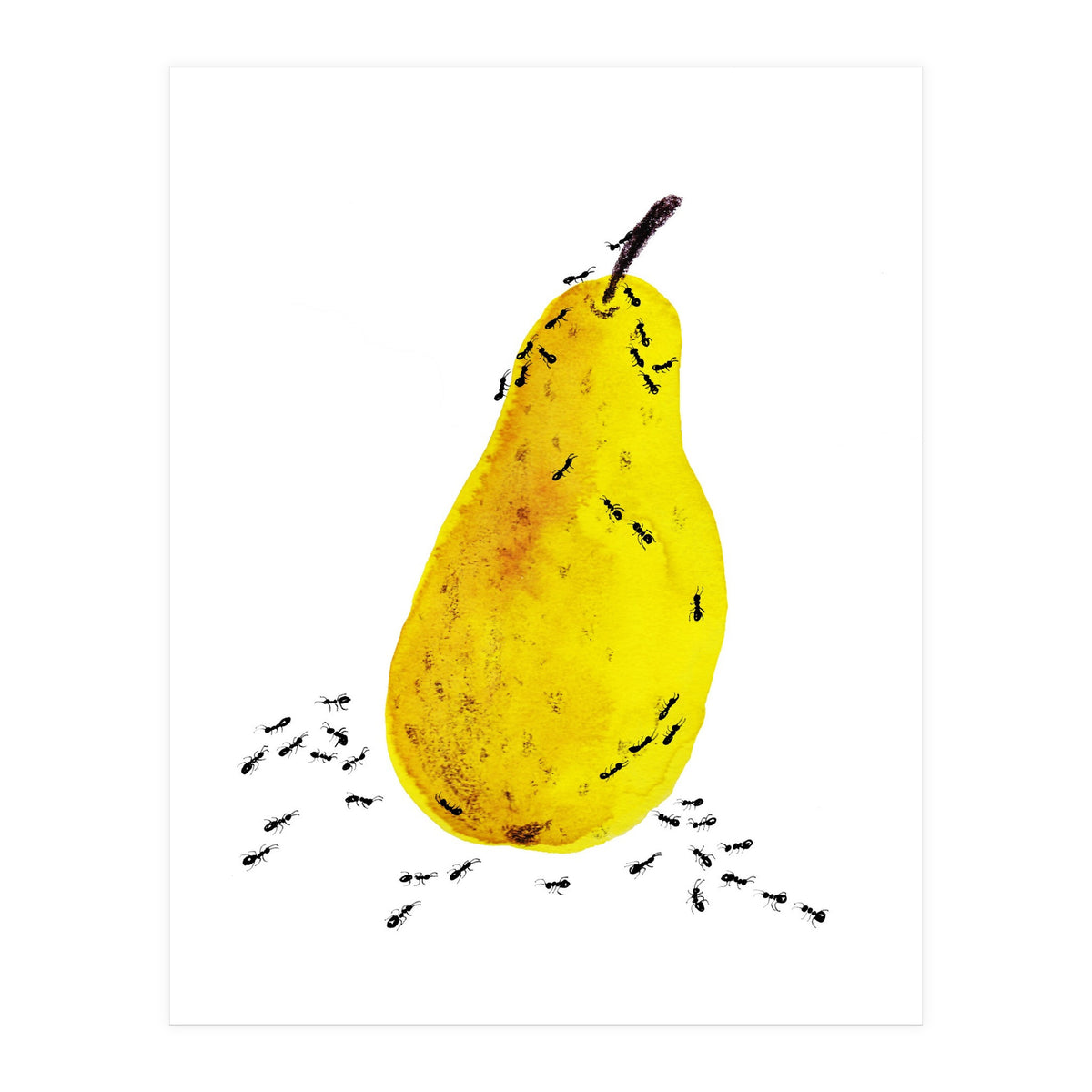 Funtime (Print Only)