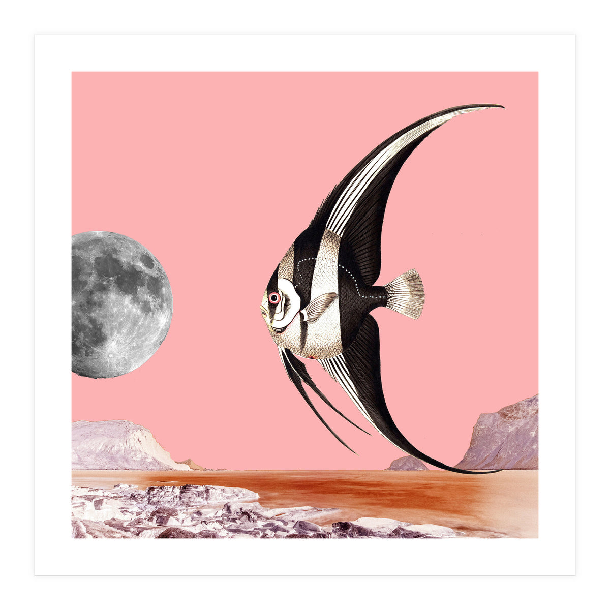 Plenty Of Fish In The Sea Pink (Print Only)