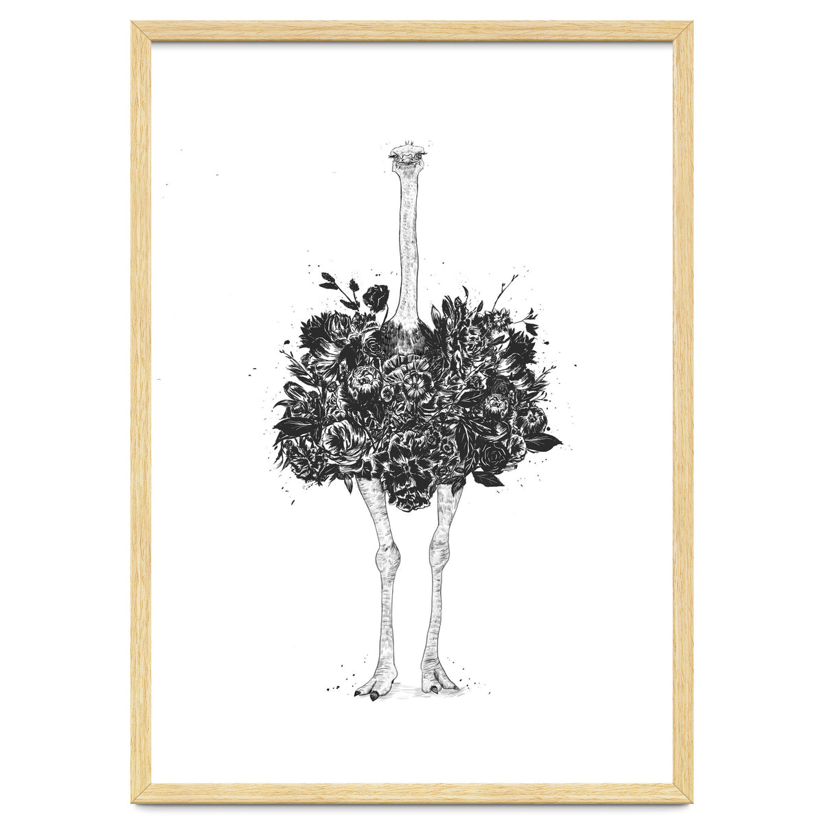 Floral Ostrich