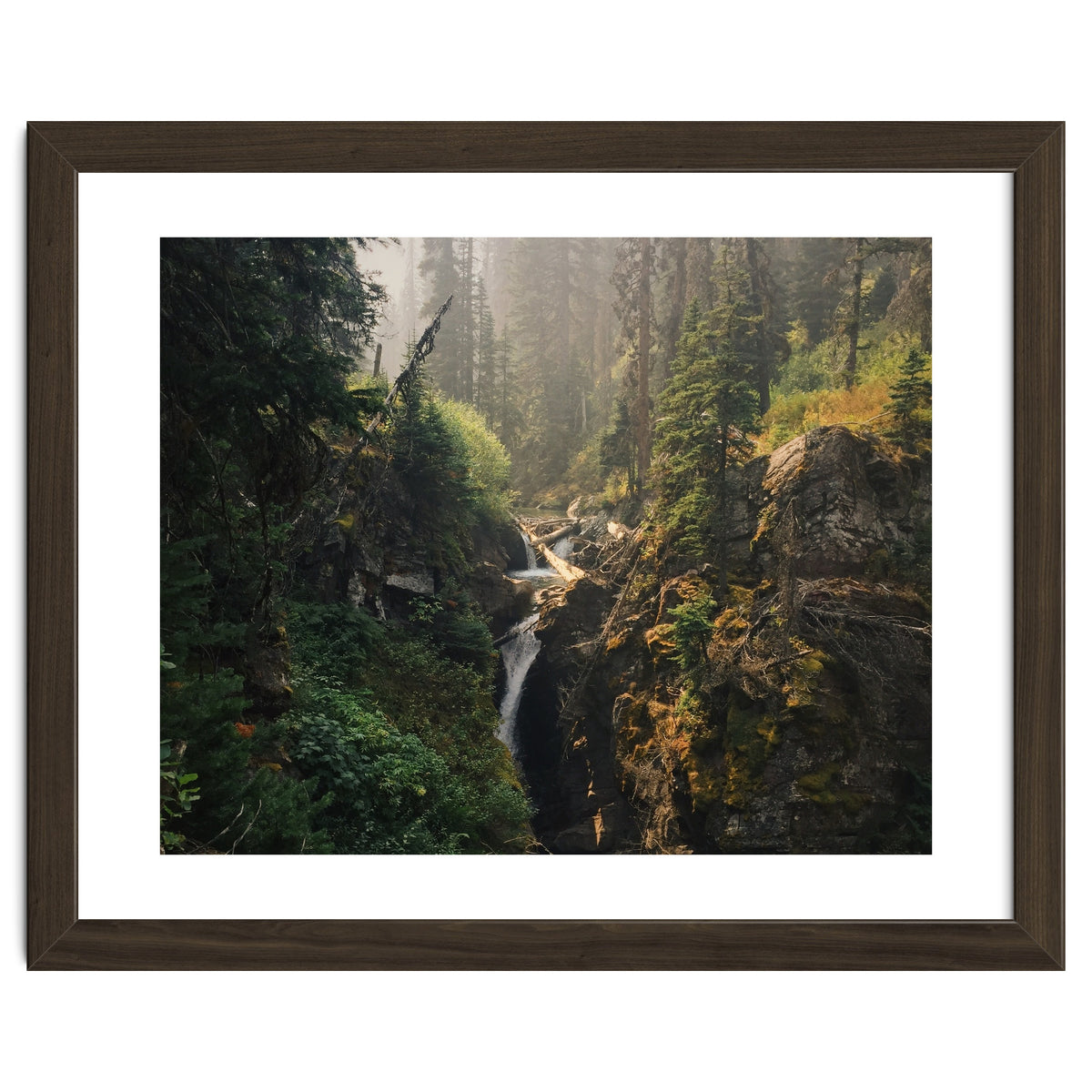 Glacier National Park I