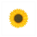 Watercolor Sunflower (Print Only) thumbnail