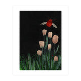 Flapping Wings (Print Only) thumbnail