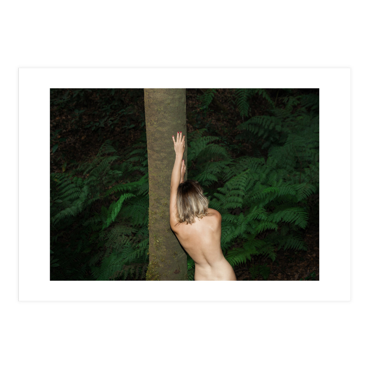 Between Ferns (Print Only)