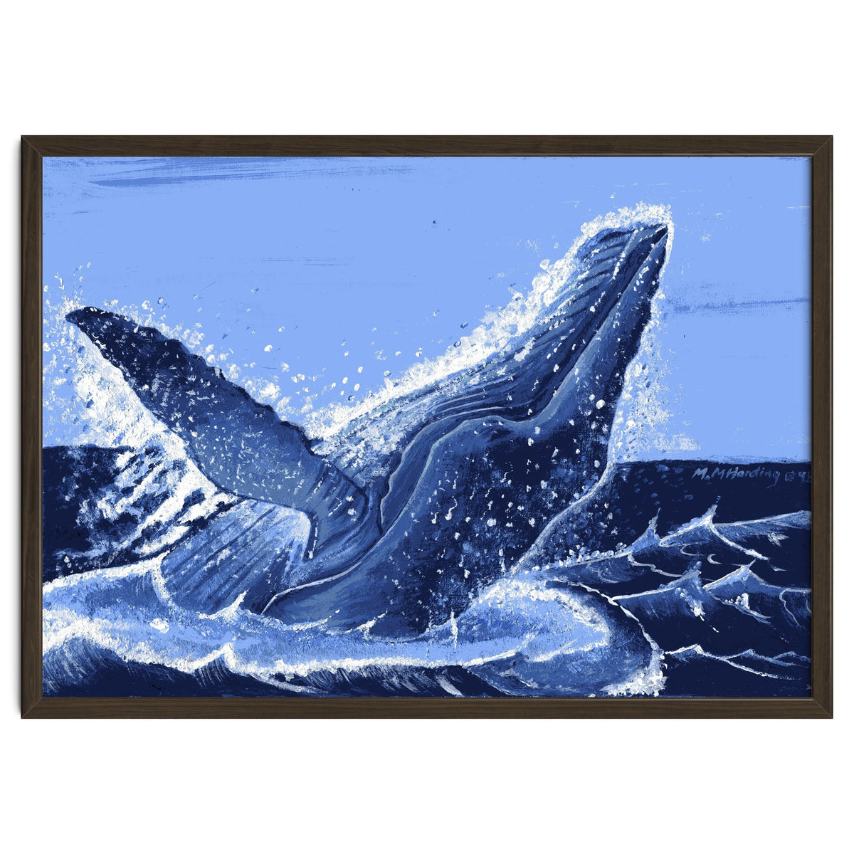 Humpback Whale Breaching