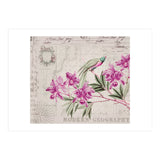 The Birds Voyage Of Discovery (Print Only) thumbnail