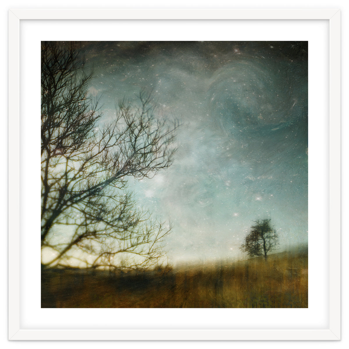 The Tree That Whispered