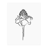 Black Flower (Print Only) thumbnail