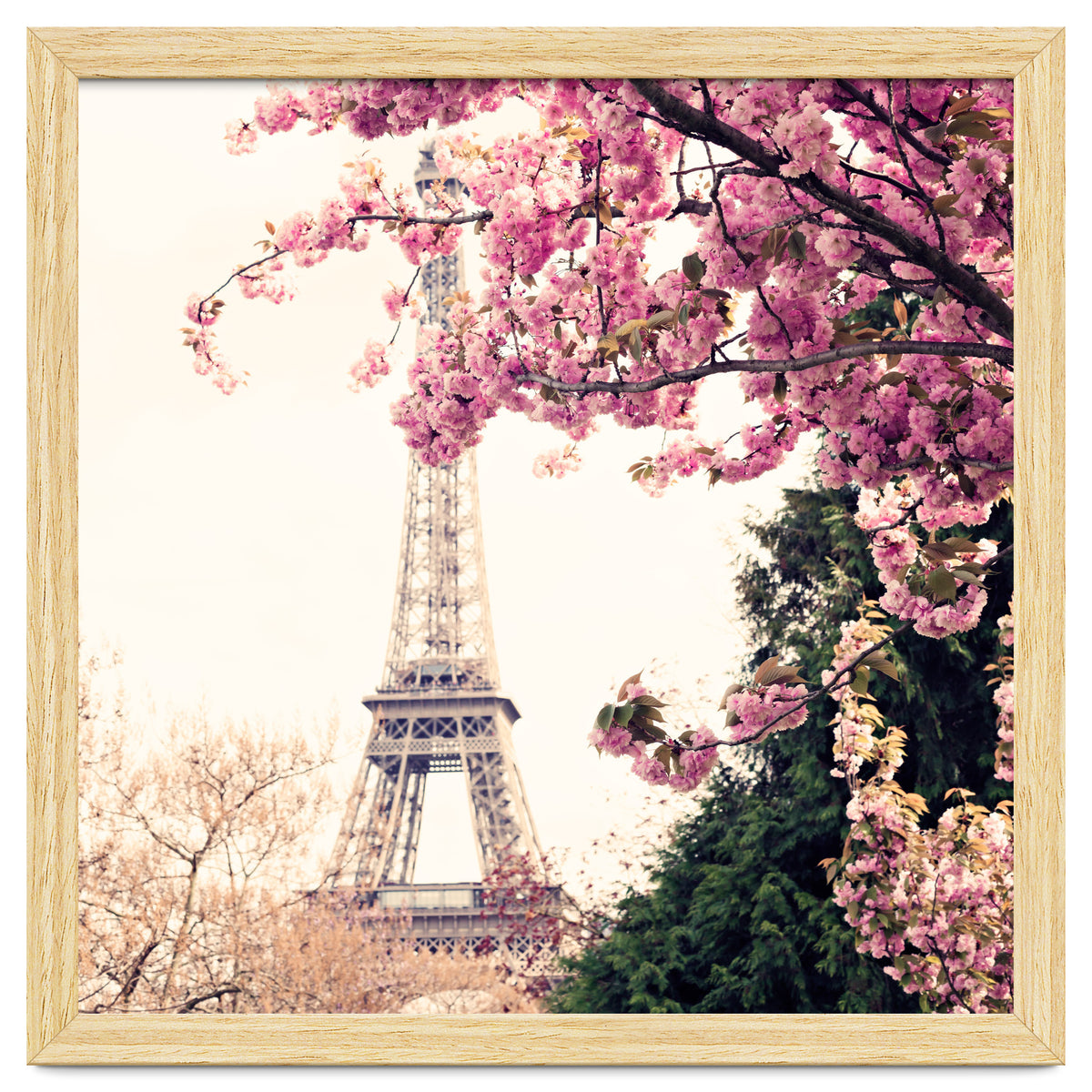 Paris in the Spring