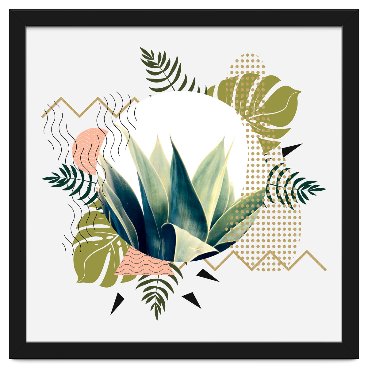 Abstract geometrical and botanical shapes