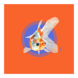 Koi Carp (Print Only) thumbnail