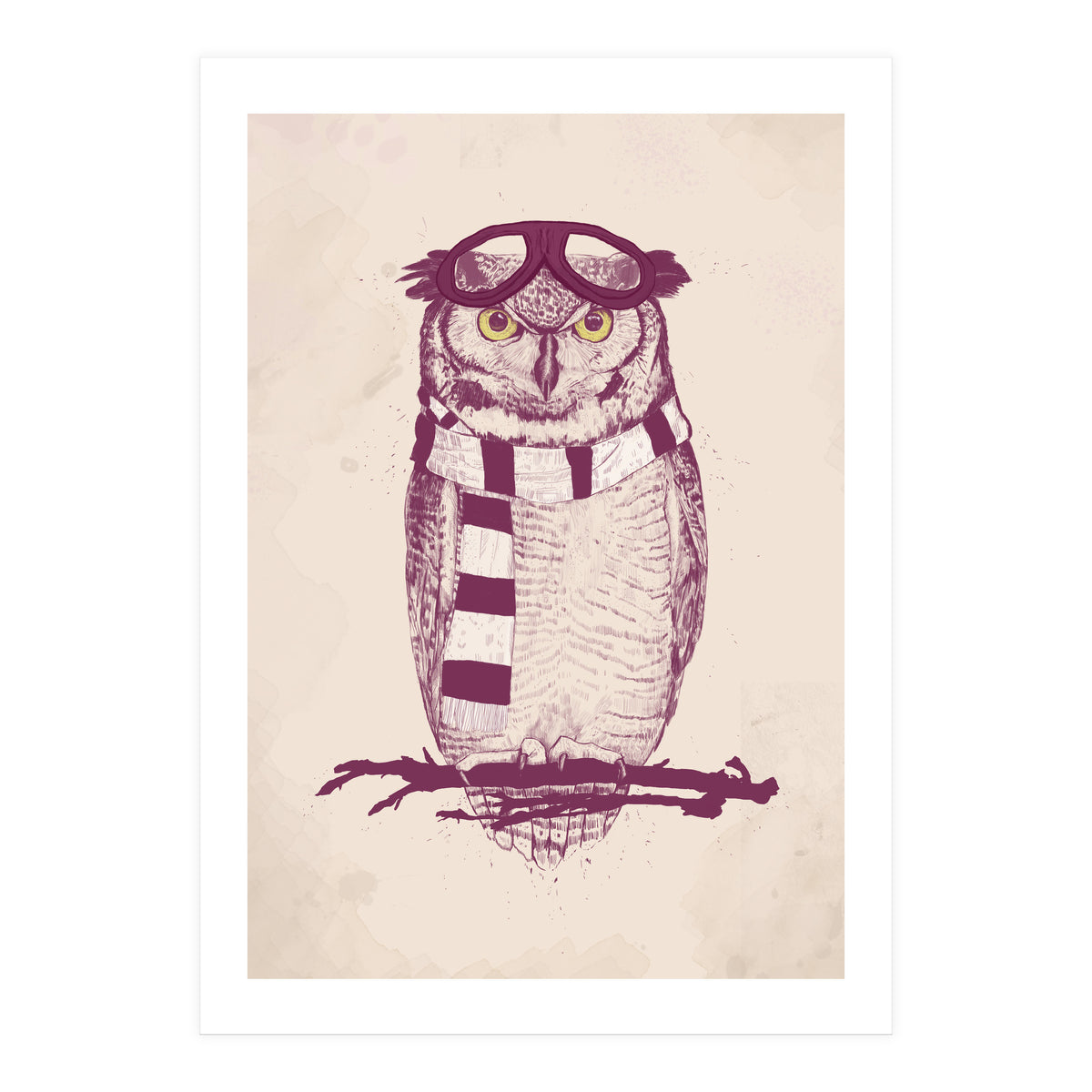 The Aviator (Print Only)