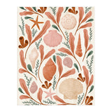 Shells Collection (Print Only) thumbnail