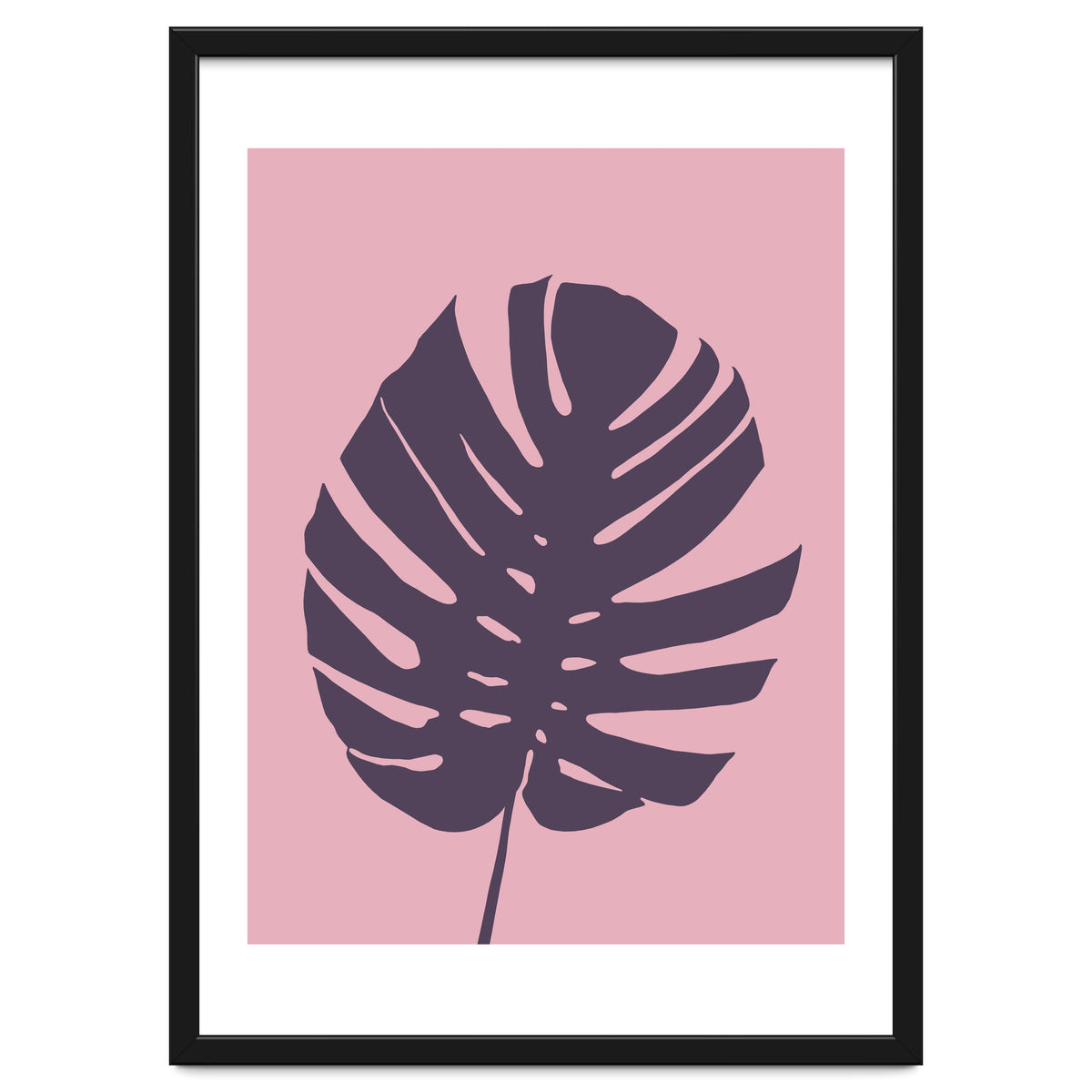 Monstera Deliciosa III