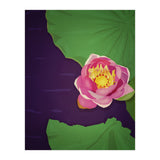 Water lily (Print Only) thumbnail
