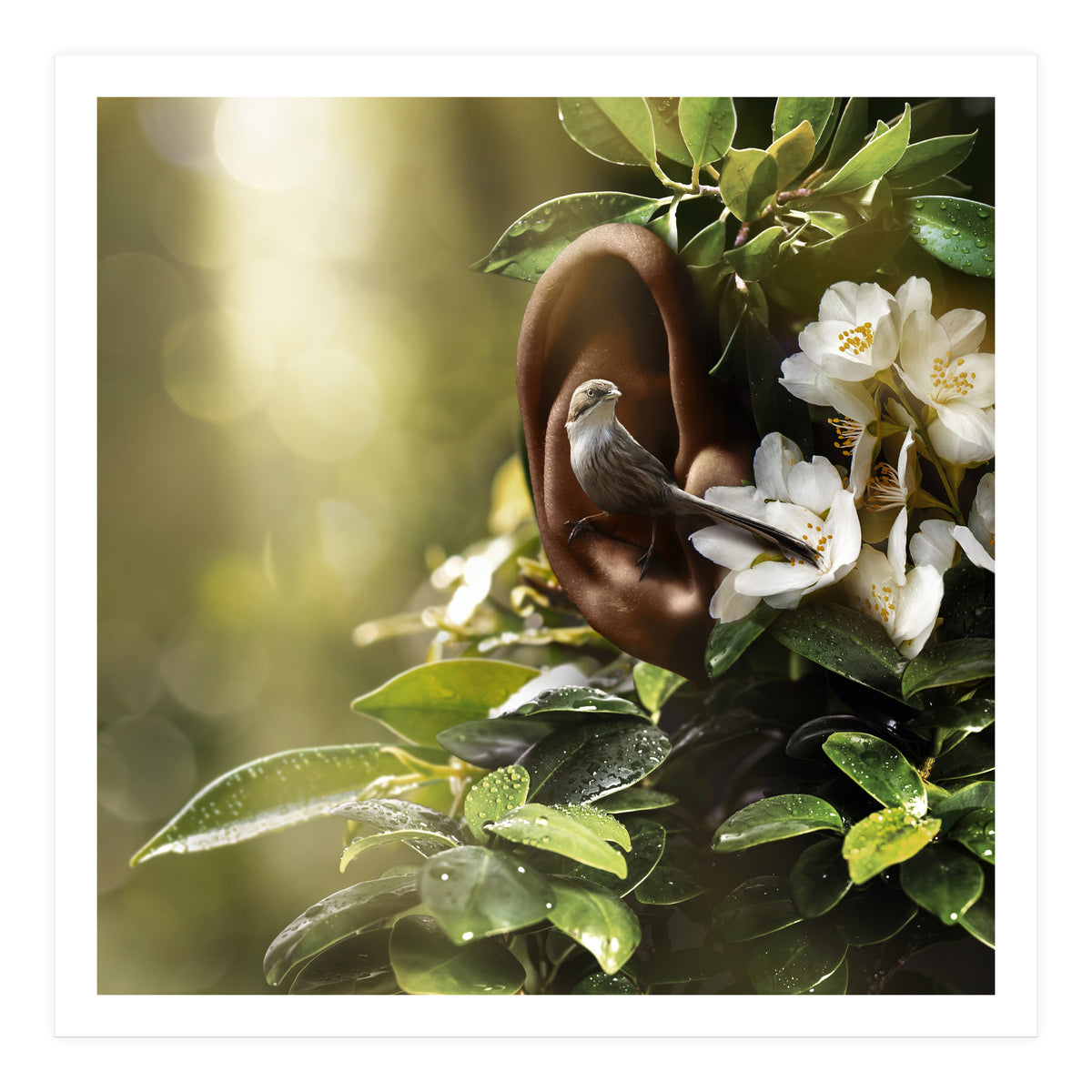 Sound Of Nature (Print Only)