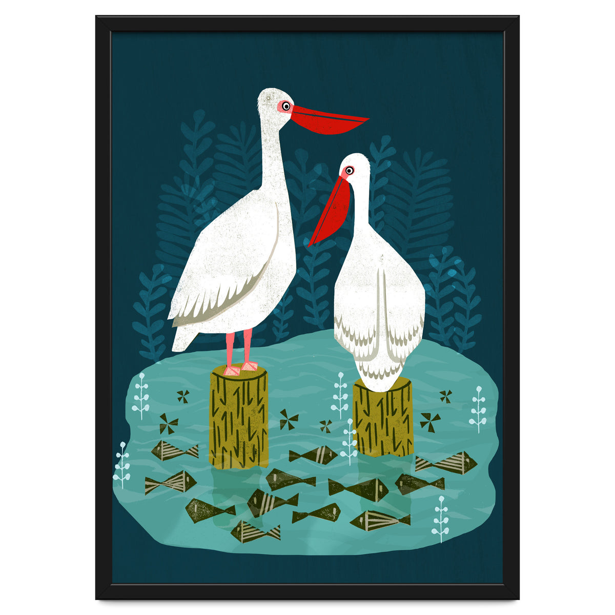 Pelicans