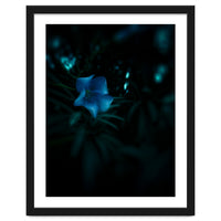 Shining Blue Floral
