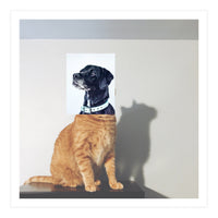 Domestic Animal (Print Only)