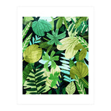 Rainforest Ii (Print Only) thumbnail