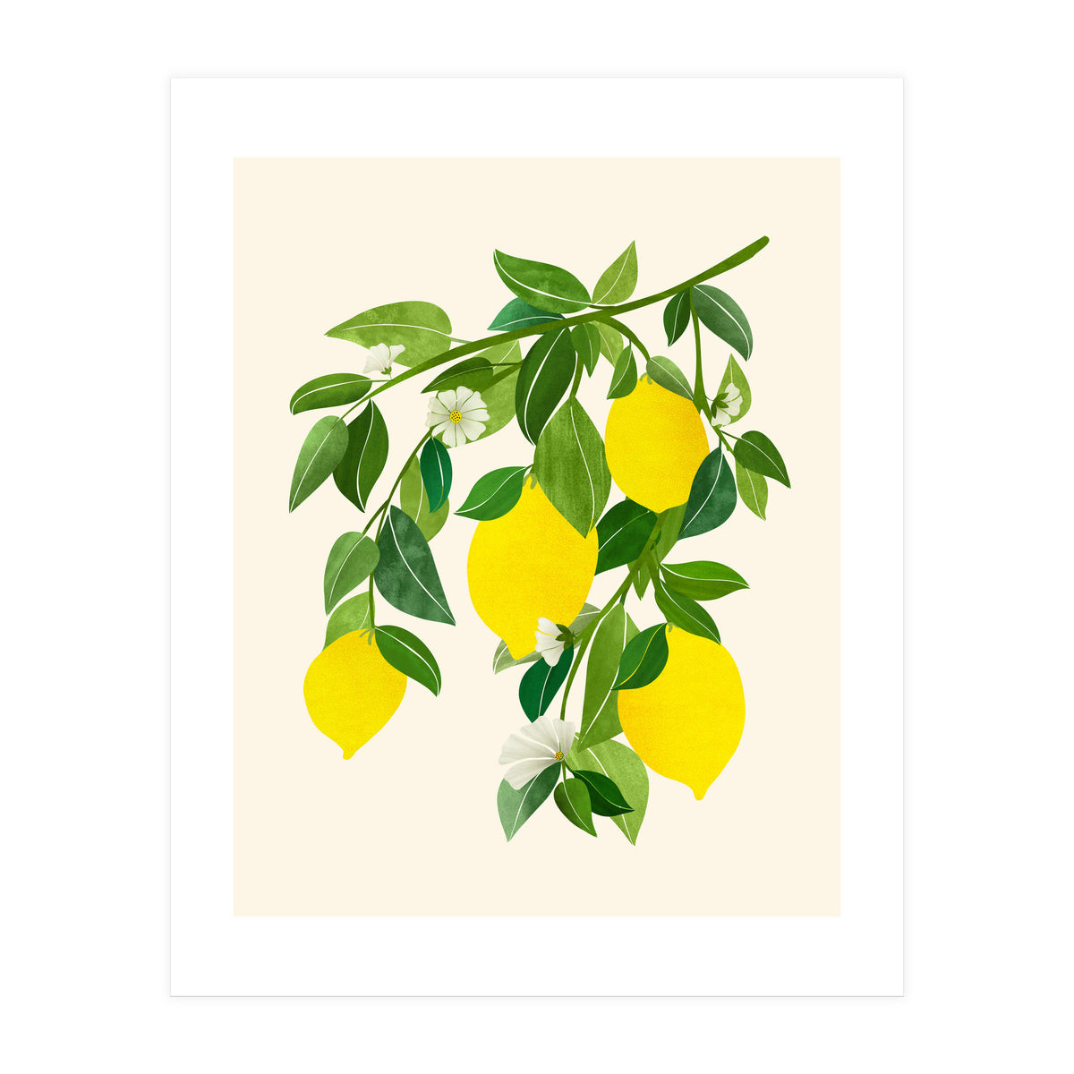 Sunny Lemons (Print Only)