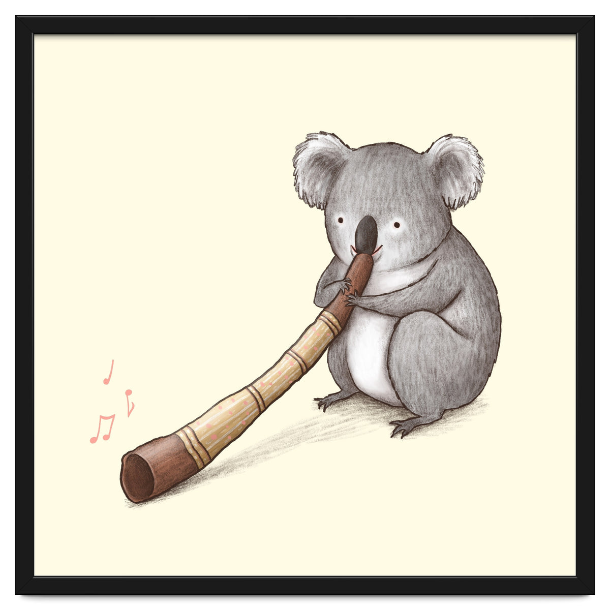 Koala Playing a Didgeridoo