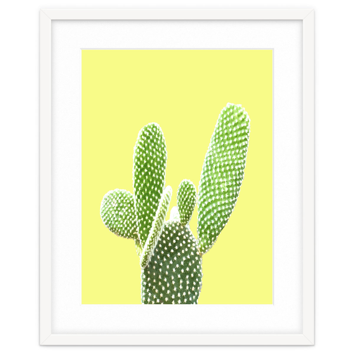 Cactus Yellow Background