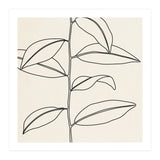 LEAF IN LINE 01 (Print Only) thumbnail