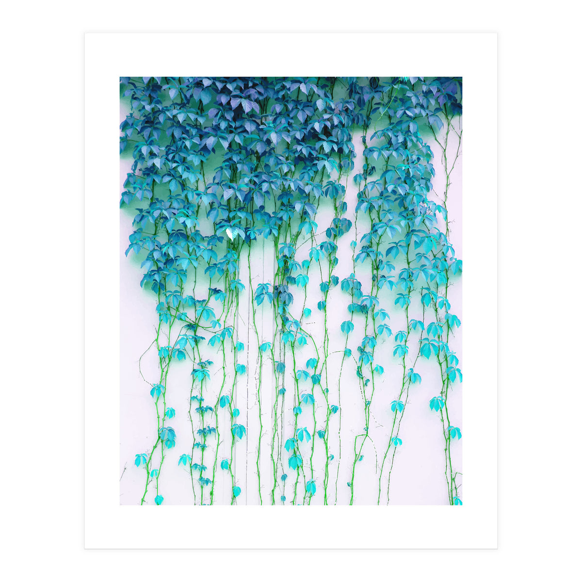 Average Absence, Botanical Minimal Nature Creepers Plants, Tropical Watercolor Bohemian Painting (Print Only)