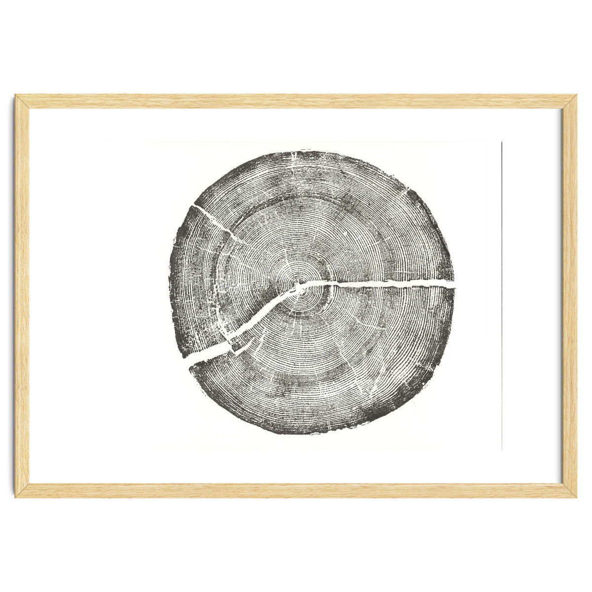 Rock Canyon, Tree Ring Print, Woodblock