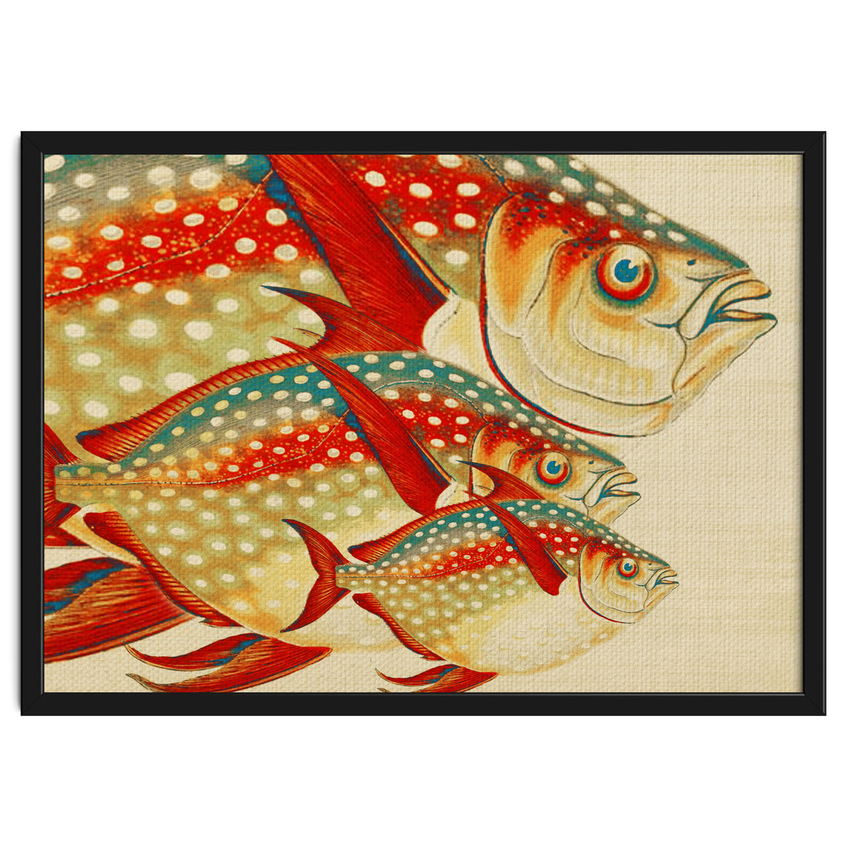 Fish Classic Designs 1