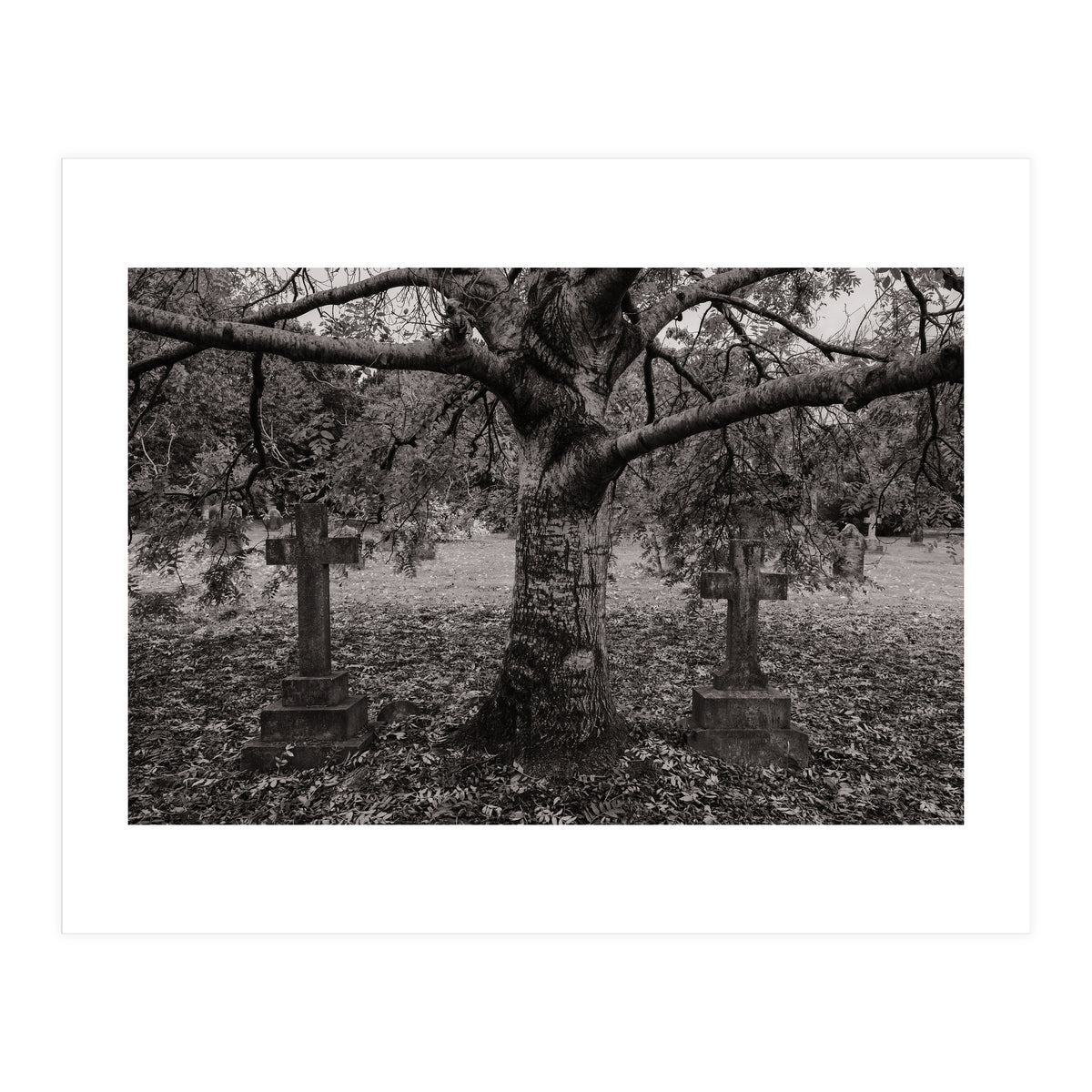 Golgotha (Print Only)