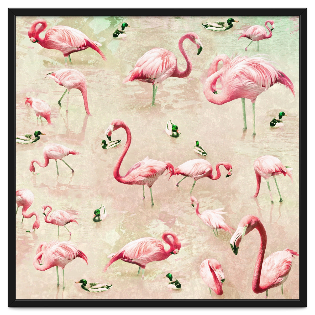 Flamingos Vintage Pink