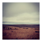 Bleak winter landscape of Saddleworth Moor  (Print Only) thumbnail