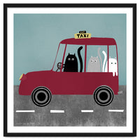 Cat 86: Cat taxi