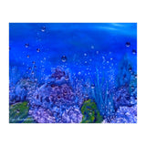 Coral Reef (Print Only) thumbnail