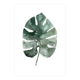 Botanical Illustration Monstera Leaf (Print Only) thumbnail