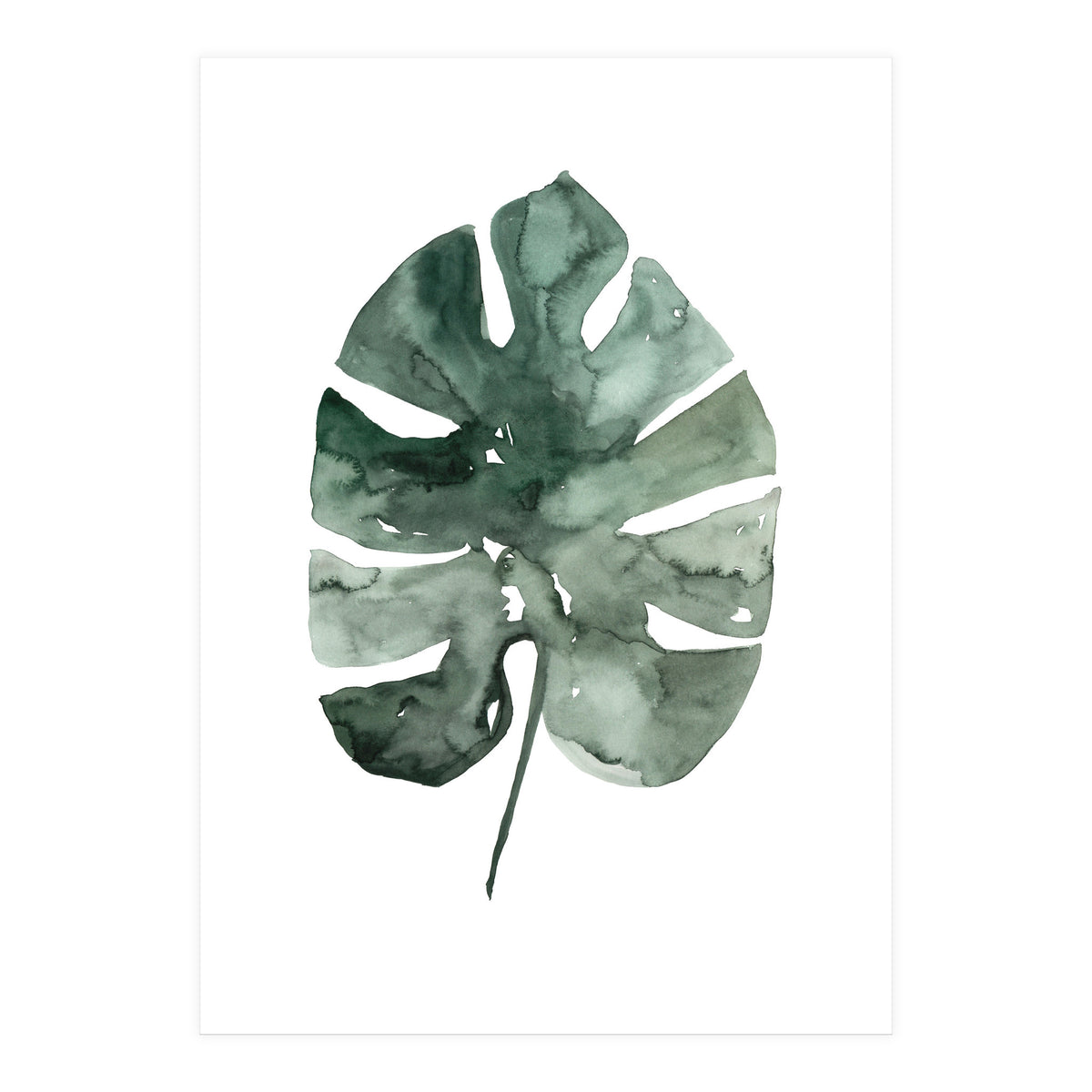 Botanical Illustration Monstera Leaf (Print Only)