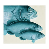 Fish Classic Designs 4 (Print Only) thumbnail
