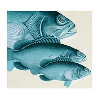 Fish Classic Designs 4 (Print Only)