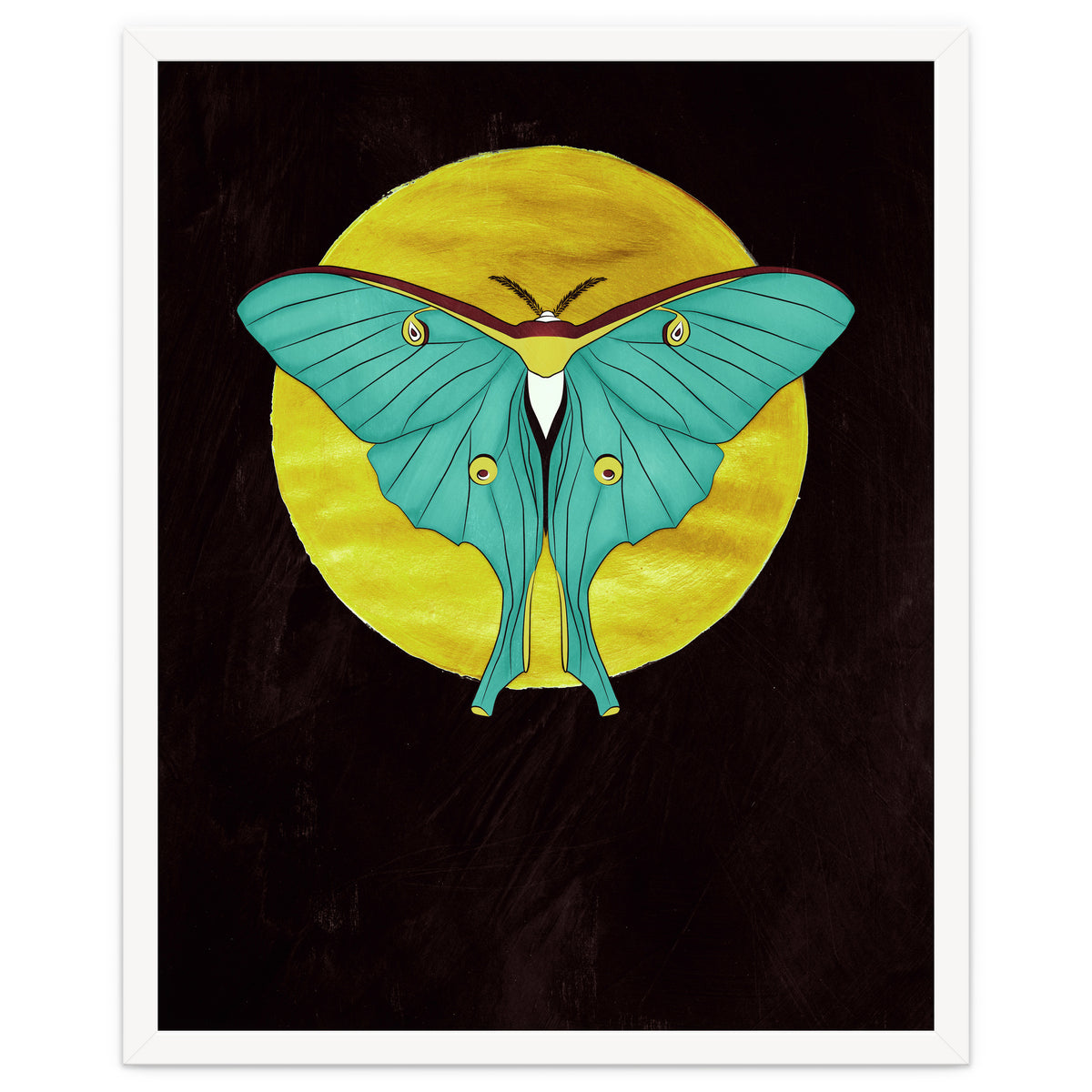 Luna Moth Moon