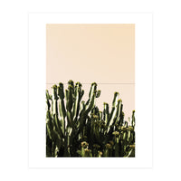 Cactus Vertical Color (Print Only)