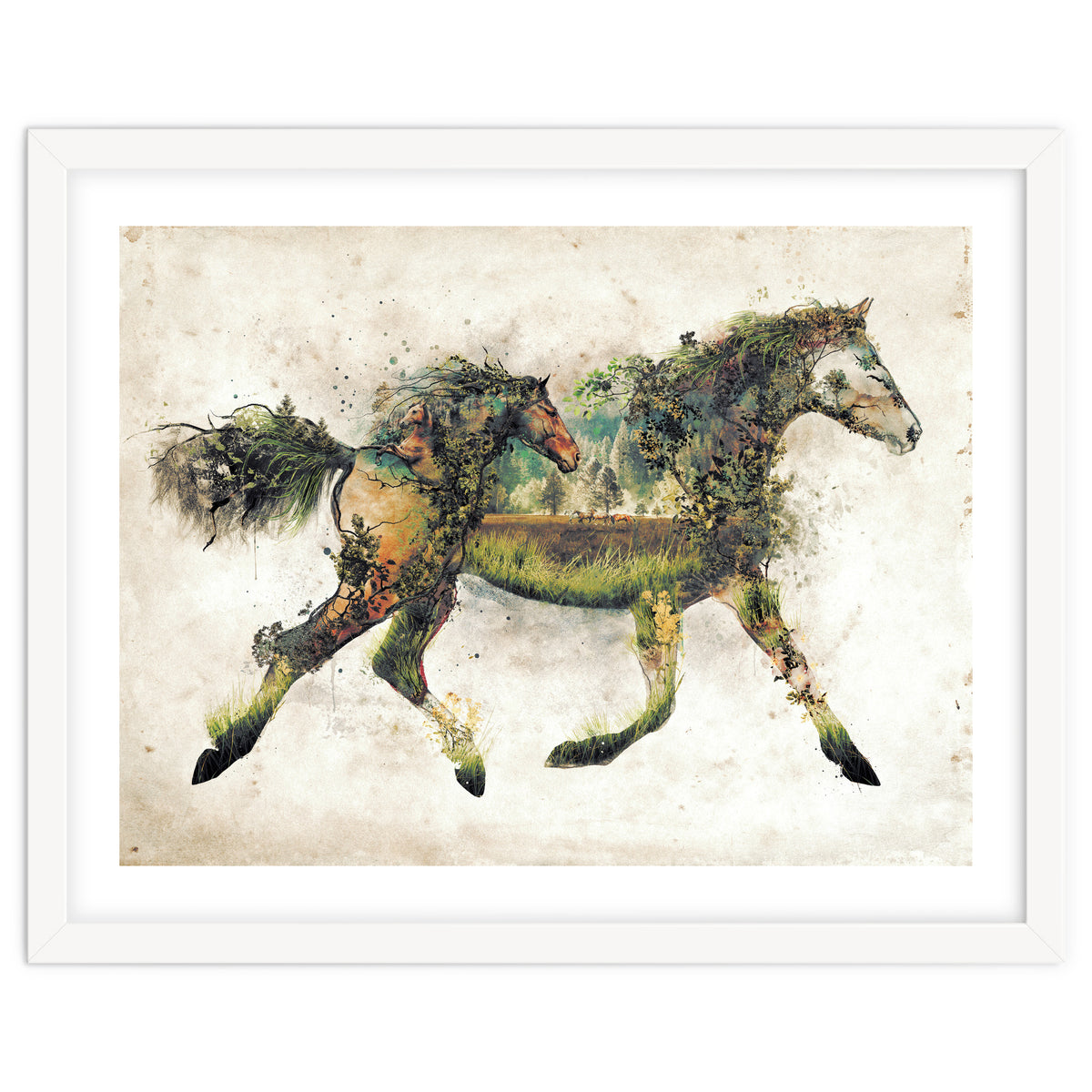 The Horse Surrealism