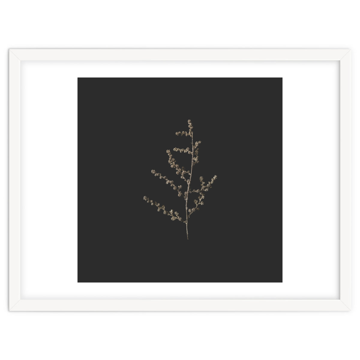 Dainty Botanicals in Gold and Black - Square