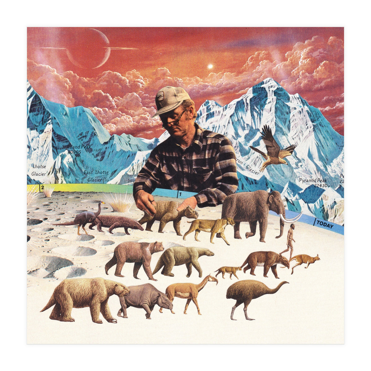 Evolution (Print Only)