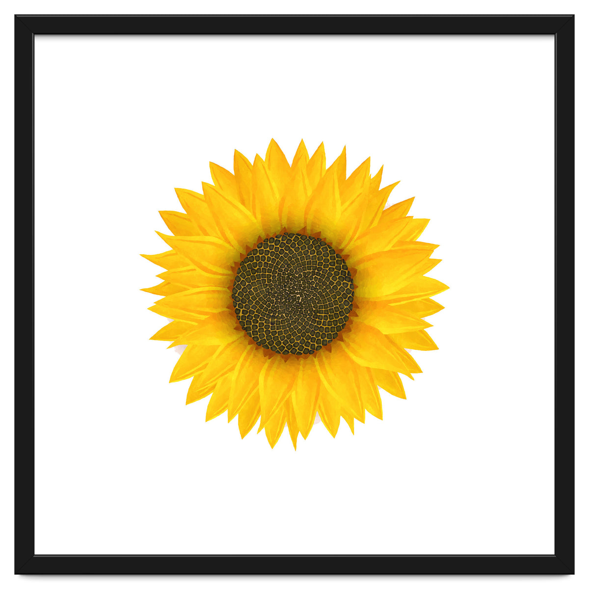 Watercolor Sunflower