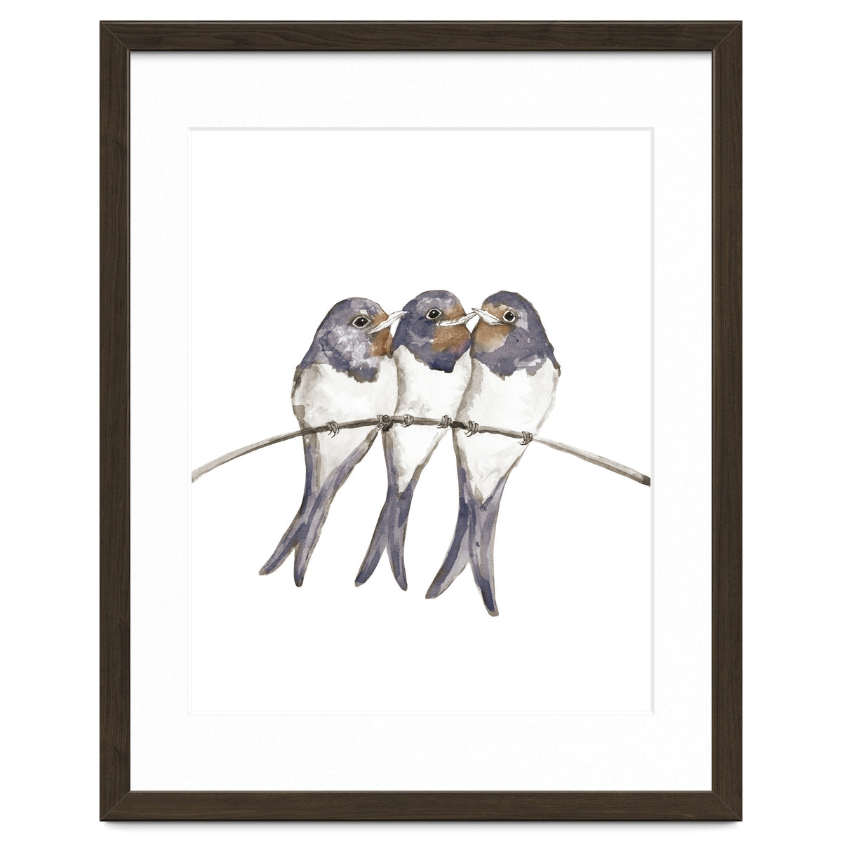 Three young swallows