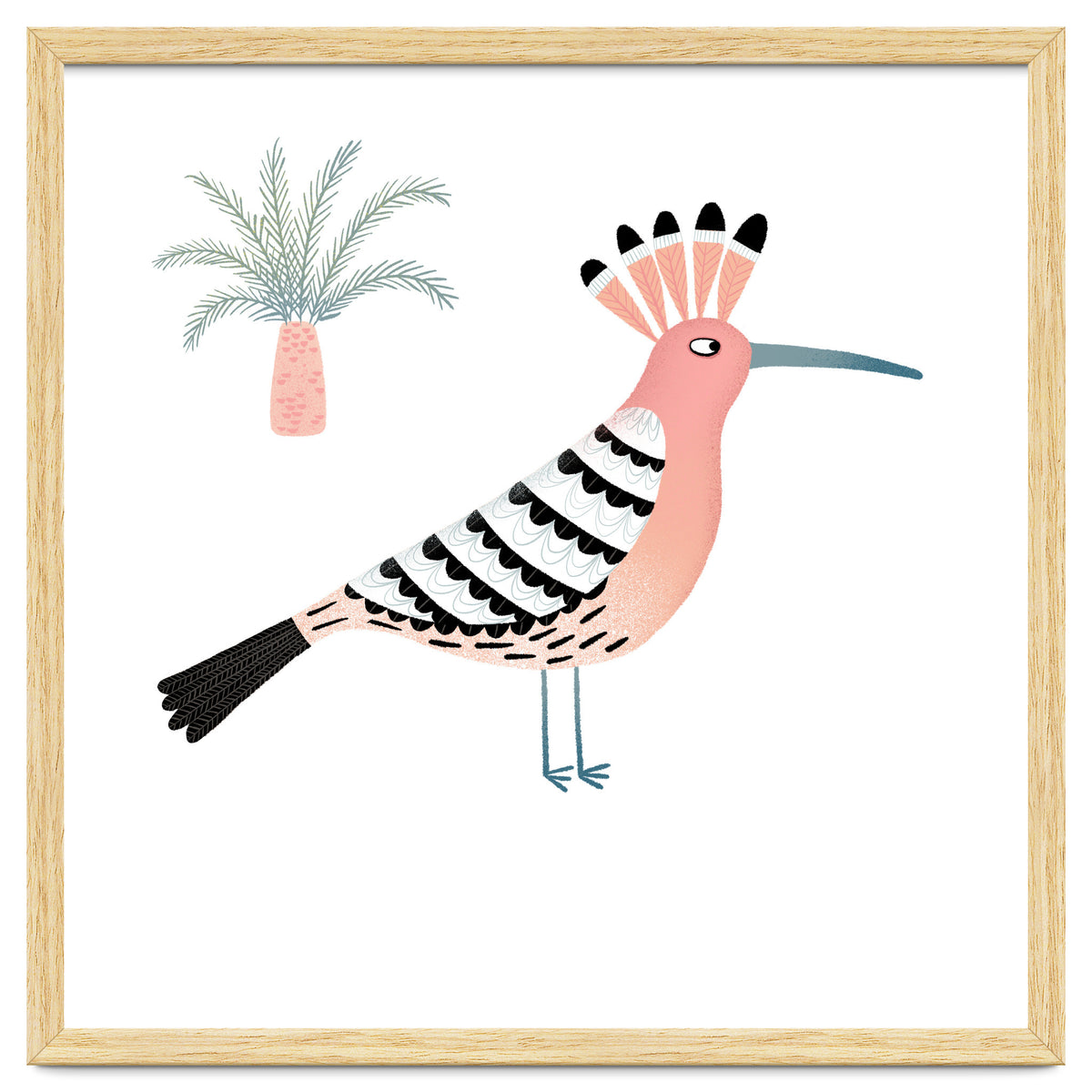 Hoopoe