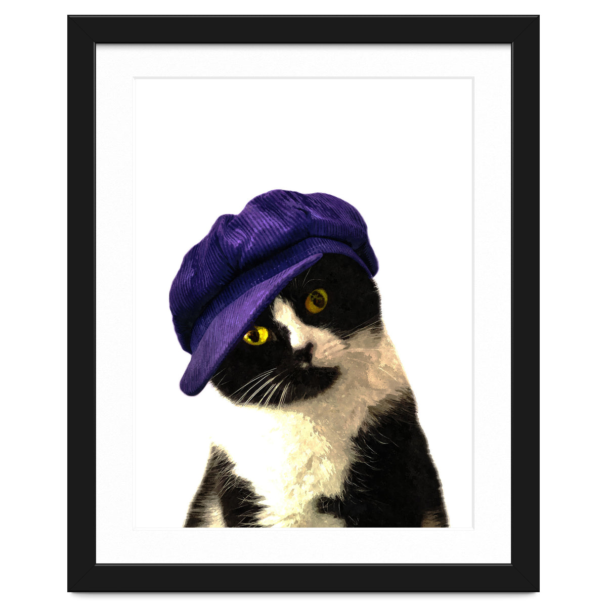 Cat Blue Hat